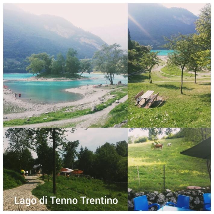 Agritur Tenno Cantina Bio Natura Экстерьер фото